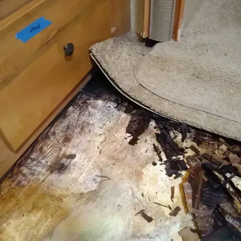 Wood Floor Water Damage in Timmonsville, SC